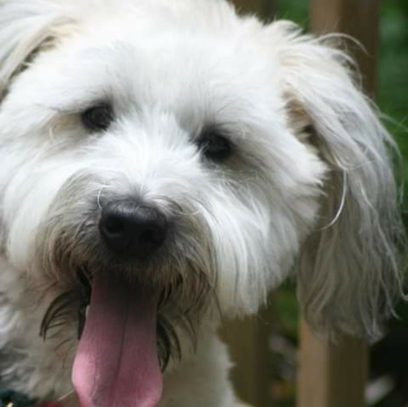 Meet your Posher, Collette - Picture 6 of 6